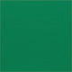 Green Parrot