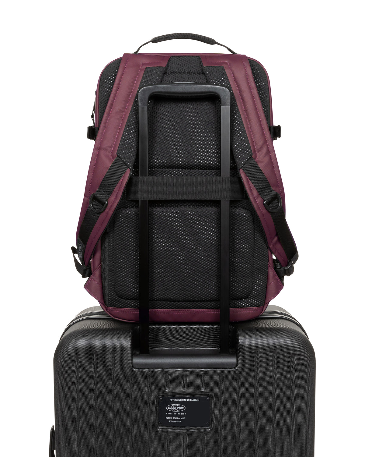 Eastpak Tecum M CNNCT Top Fig  - 6