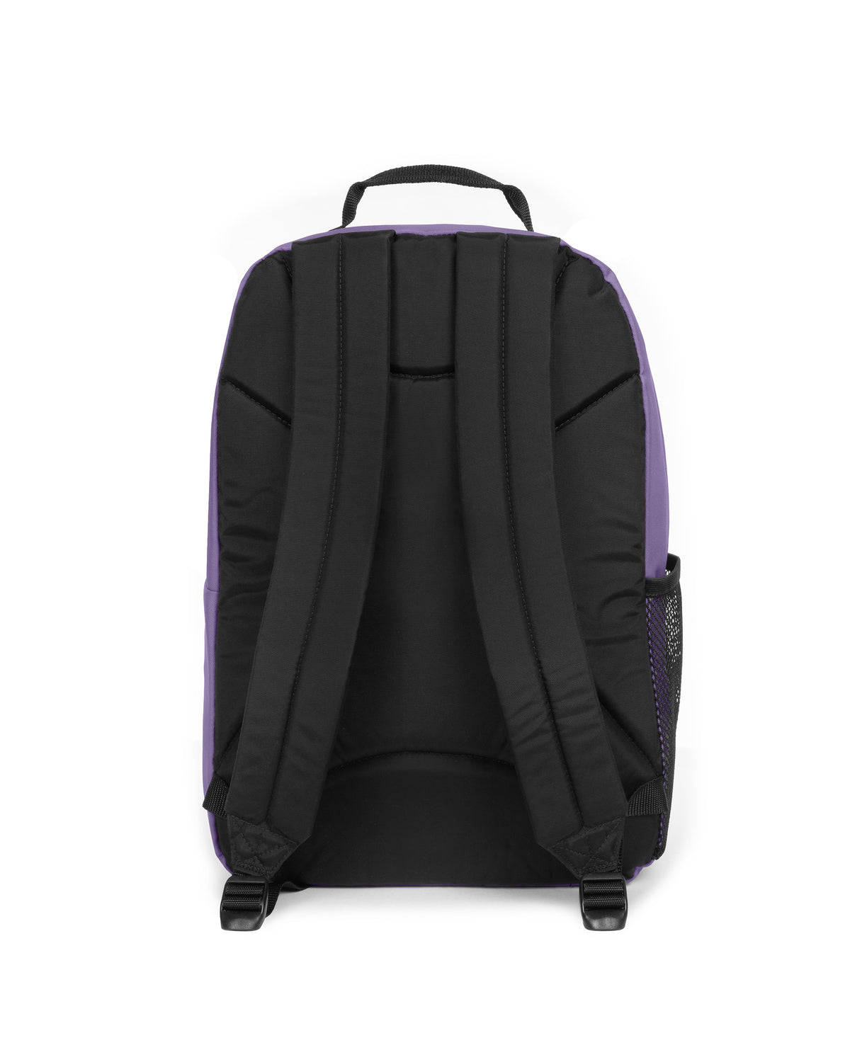 Eastpak STUDY BUDDY Dahlia Purple  - 4